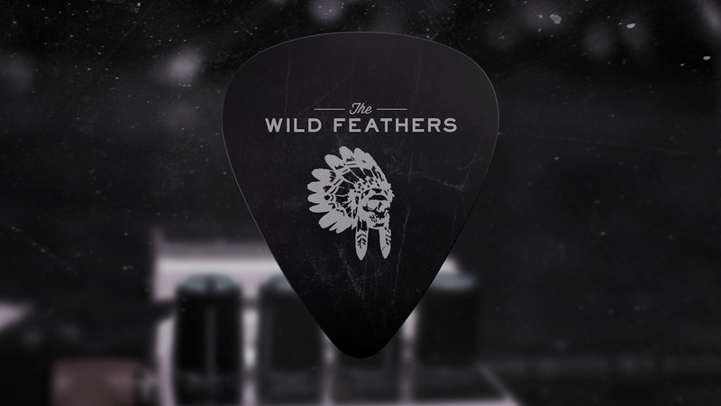 WildFeathers_000